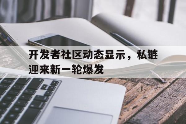 包含开发者社区动态显示，私链迎来新一轮爆发的词条