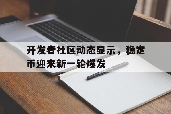 关于开发者社区动态显示，稳定币迎来新一轮爆发的信息