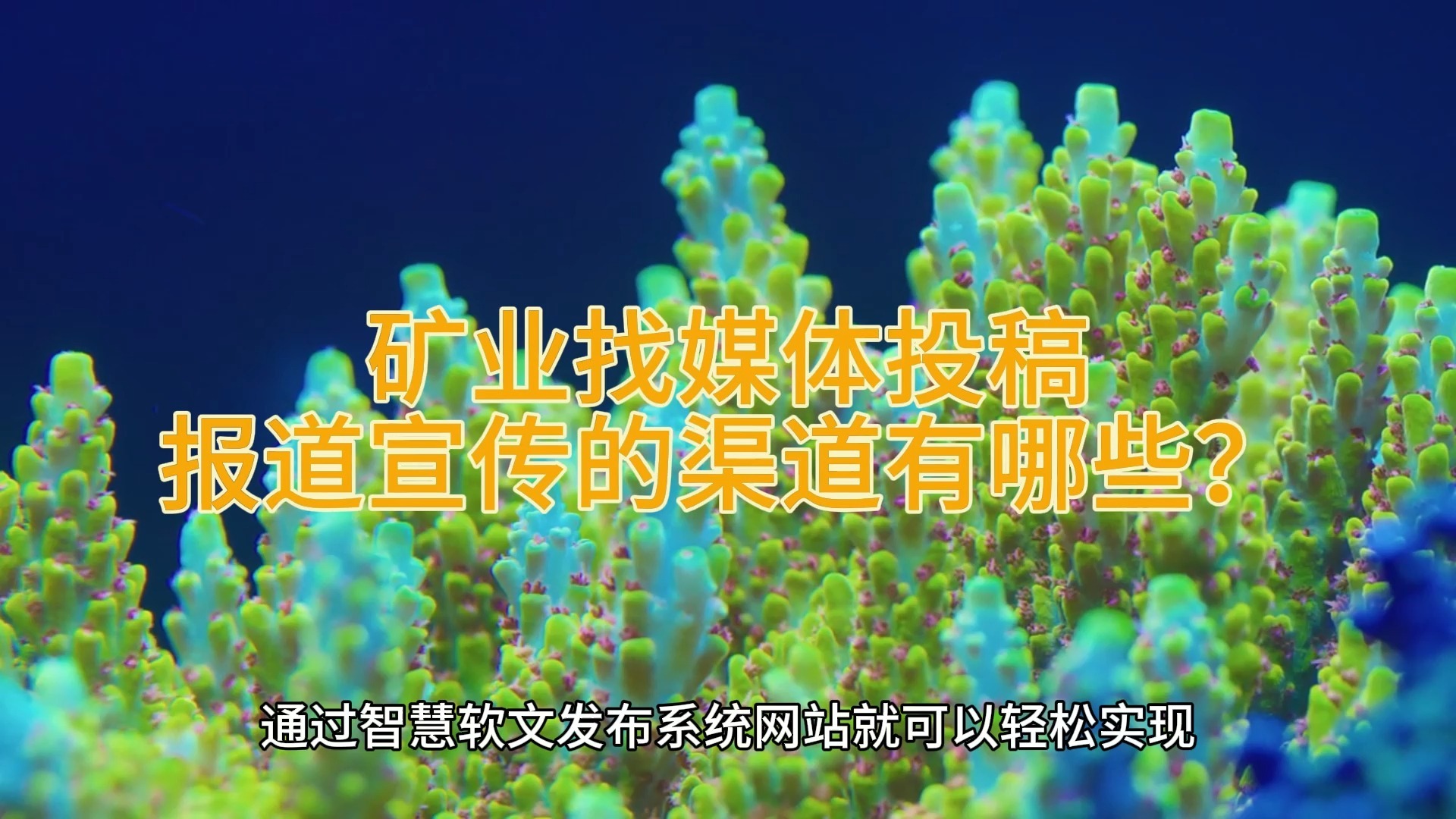 开元网站-主流媒体报道，加密矿业市场行情持续升温